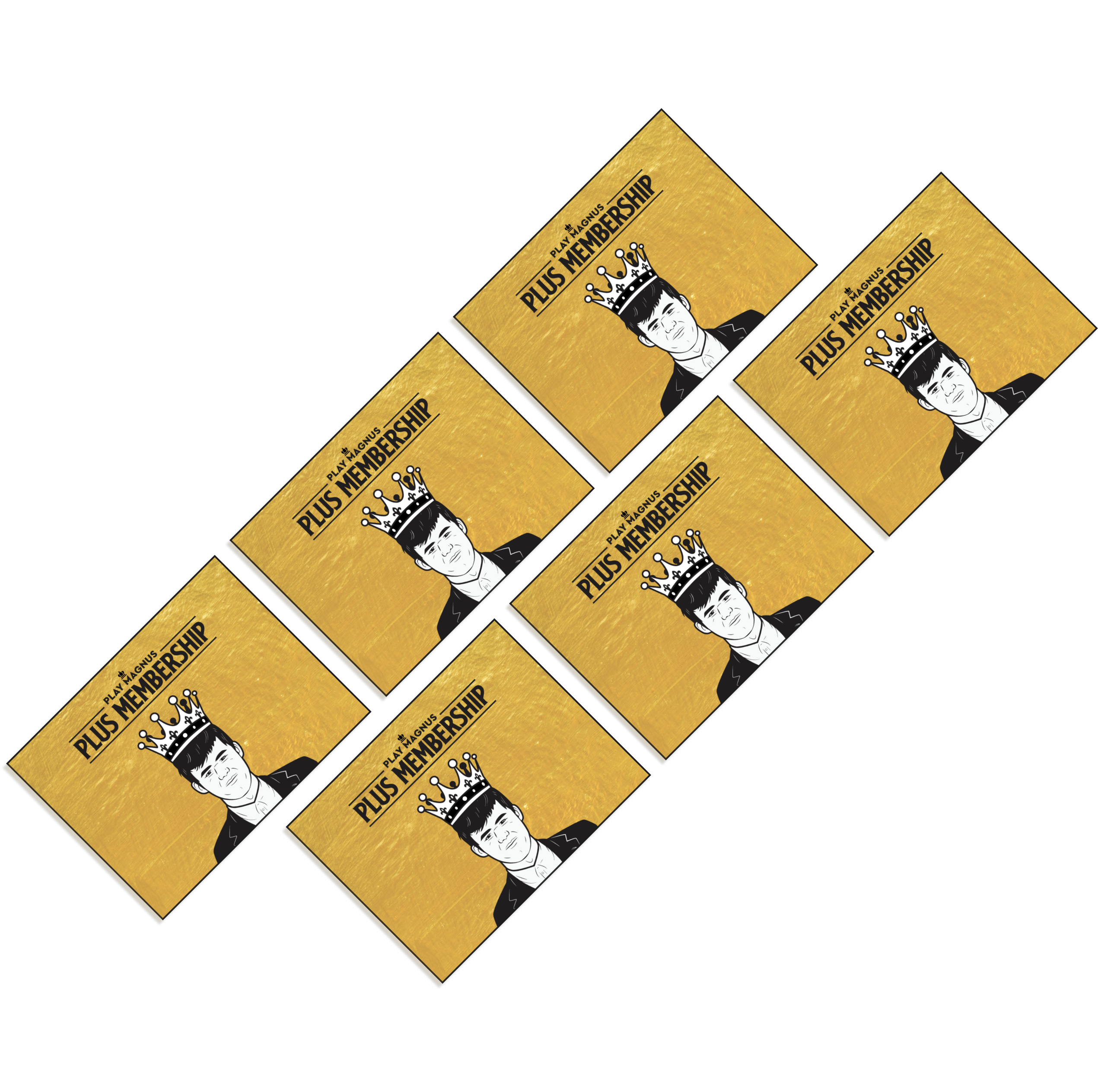 Play Magnus Plus Membership gift card image grid
